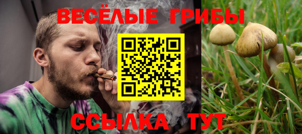 Псилоцибиновые грибы Psilocybine cubensis  Вход с VPN  Кропоткин 